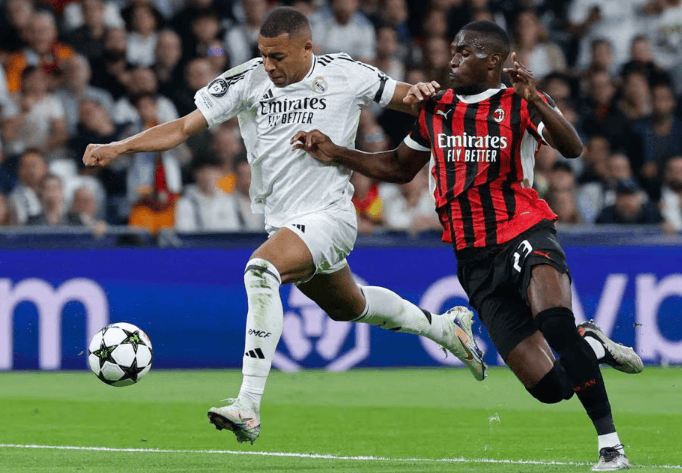 文化的观影 文化的观影