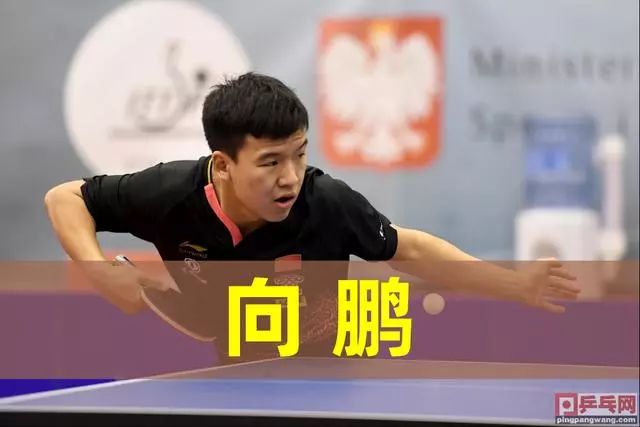 球迷效应 球迷效应