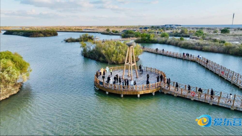 如果说这场 如果说这场